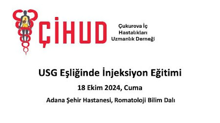 USG Eşliğinde İnjeksiyon Eğitimi