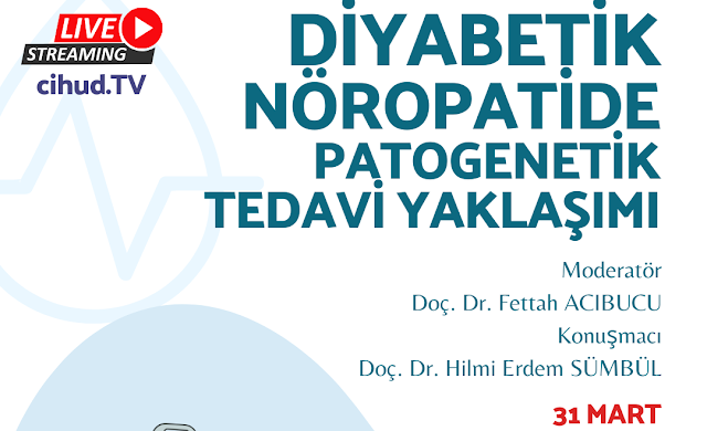 Diyabetik Nöropatide Patogenetik Tedavi Yaklaşımı