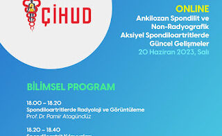 Ankilozan Spondilit ve Non-radyografik Aksiyel Spondiloartritlerde Güncel Gelişmeler
