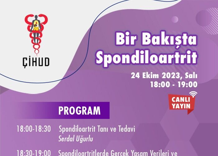 Bir Bakışta Spondiloartrit